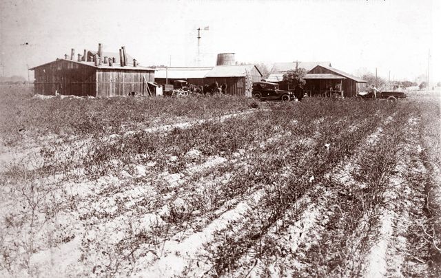 Kakuda Farms